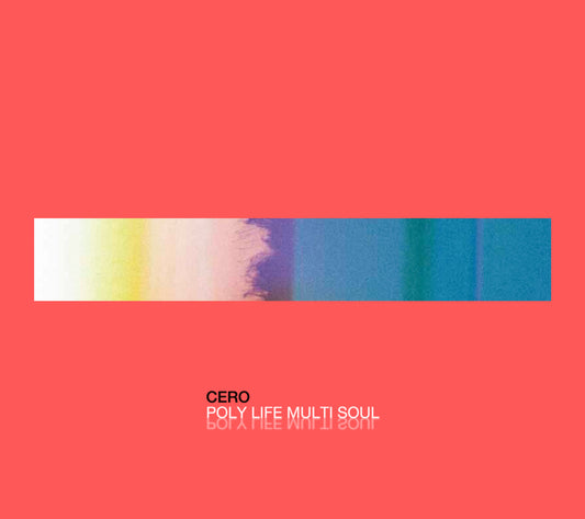 POLY LIFE MULTI SOUL(初回限定盤A/CD+DVD)