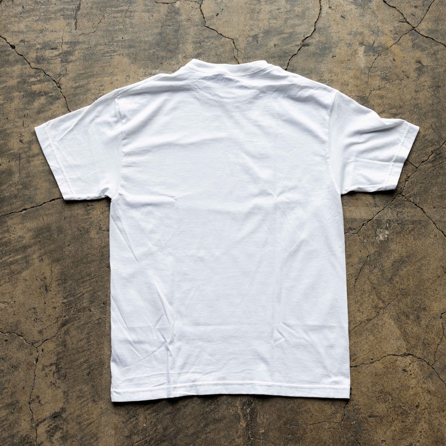 健忘者たち Photo Tee